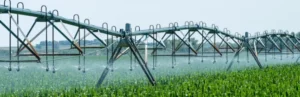 Irrigation