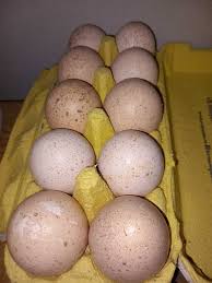 9a563fc0-6cac-4224-9933-8c800113dd61