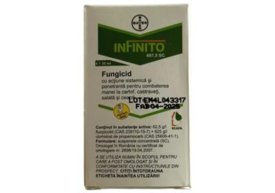 Infinito20-800×800-1