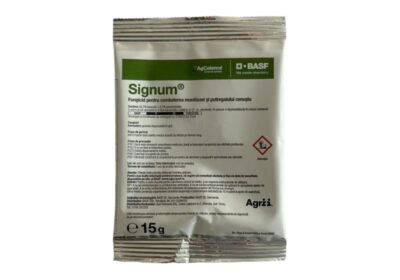 Signum15-800×800-1