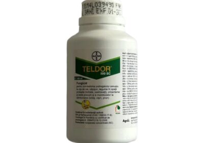 Teldor100-800×800-1