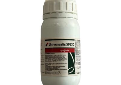 Universalis200-800×800-1