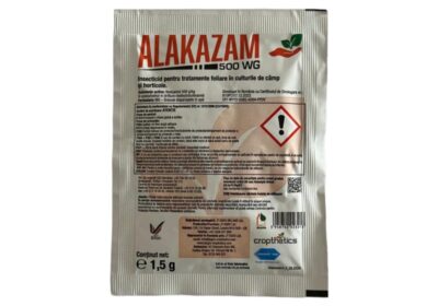 alakazam1.5-800×800-1