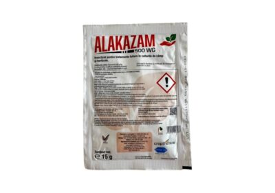 alakazam15-800×800-1