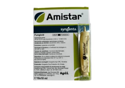 amistar10-800×800-1