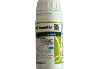 amistar100-800×800-1