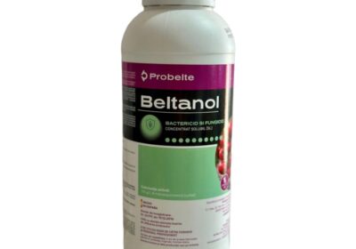 beltanol1000-800×800-1