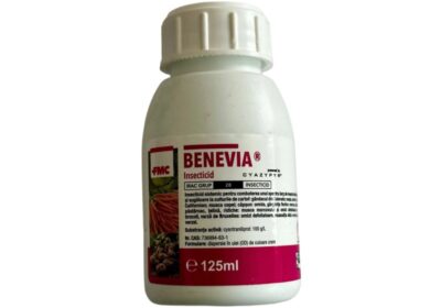 benevia125-800×800-1