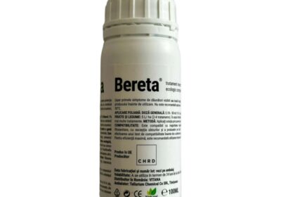 bereta100-800×800-1