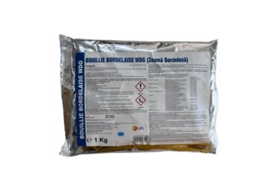 bordeleza1000-800×800-1