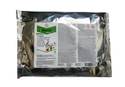 melody2000-800×800-1