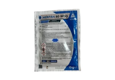 merpan15-800×800-1