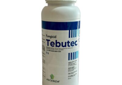 tebutec-800×800-1