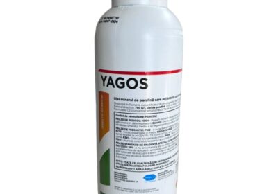 yagos1-800×800-1